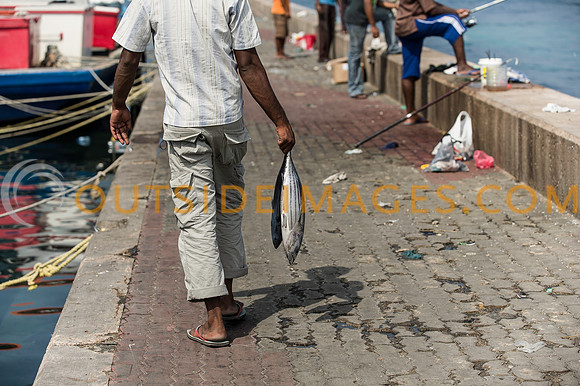 111223_TODD_0229