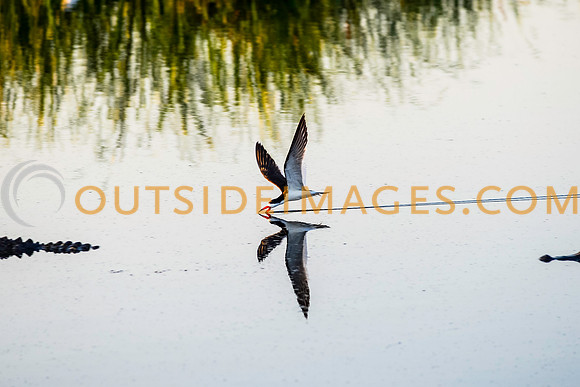 140708_TODD_0623