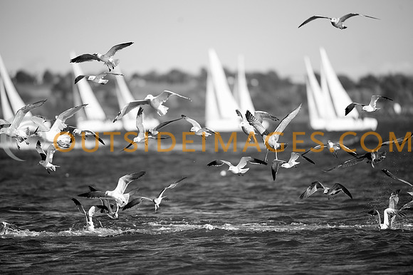 _ONZ7328