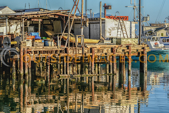 130630_TODD_0513