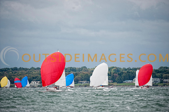_ONZ6593