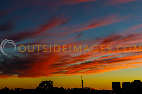 131008_TODD_0002