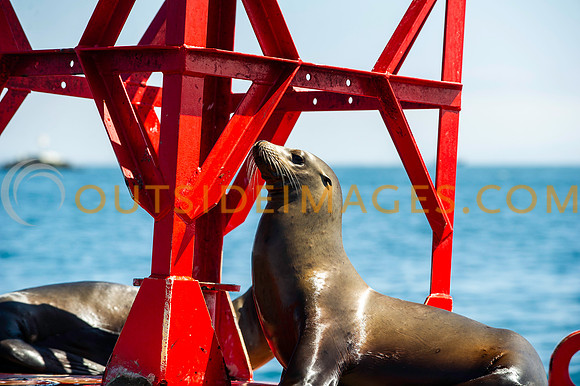 220326__NAUTICAL_IMAGES_518_TODD