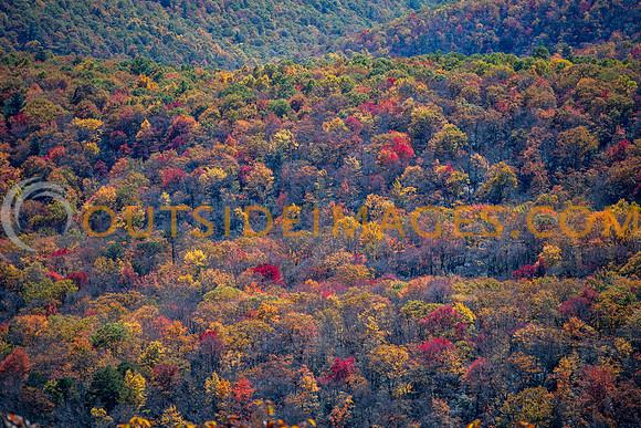 251020_OUTSIDE_IMAGES_TODD_380