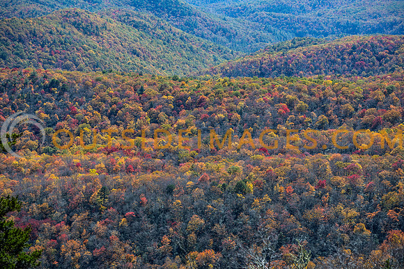 251020_OUTSIDE_IMAGES_TODD_383