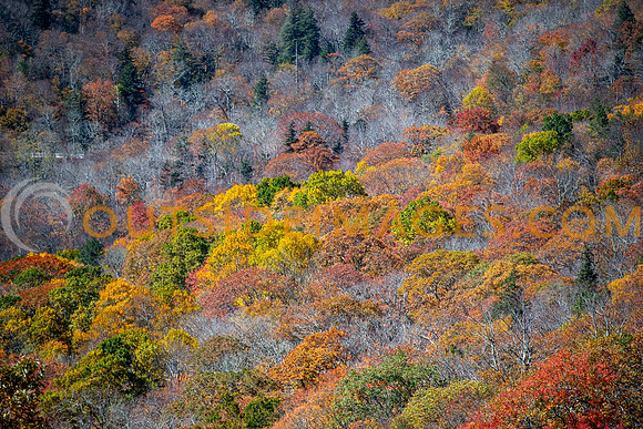 251020_OUTSIDE_IMAGES_TODD_418