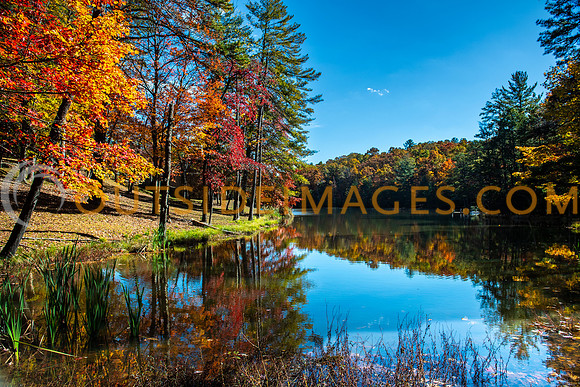 251101_TODD_IMAGES_066