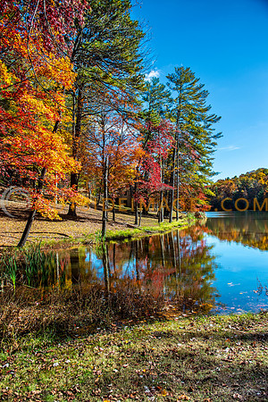 251101_TODD_IMAGES_065