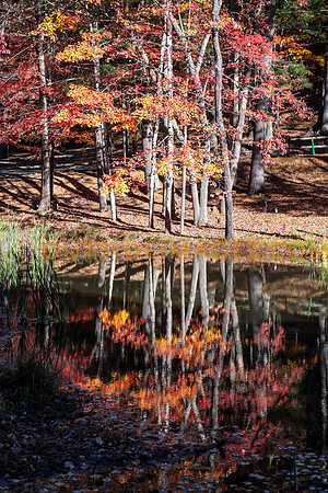 251104_TODD_IMAGES_219