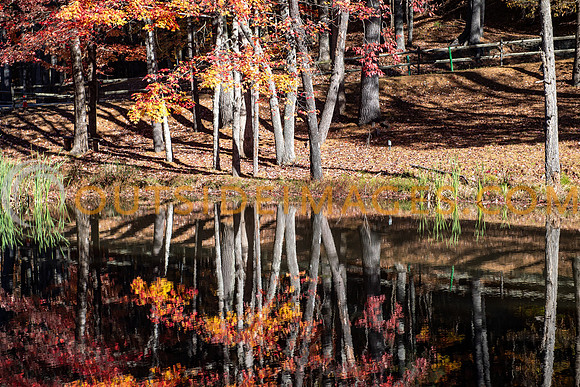 251104_TODD_IMAGES_224