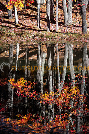 251104_TODD_IMAGES_226