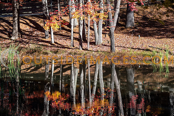 251104_TODD_IMAGES_234