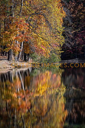 251104_TODD_IMAGES_263