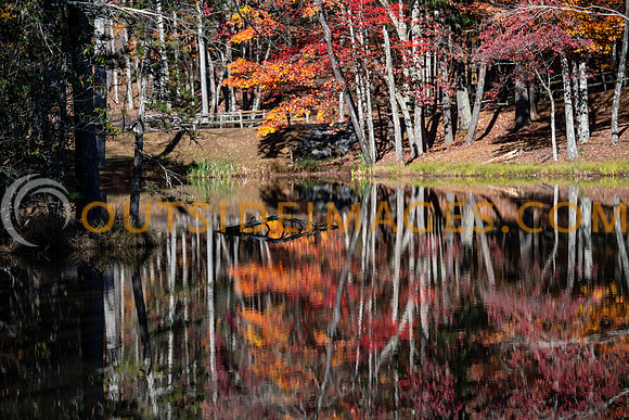 251104_TODD_IMAGES_287