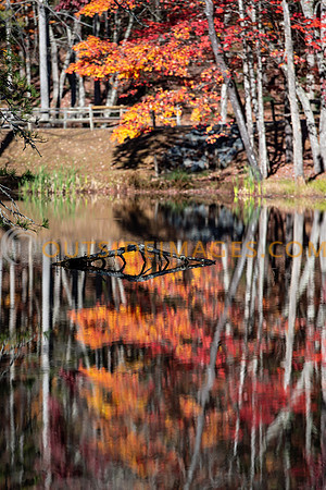 251104_TODD_IMAGES_295