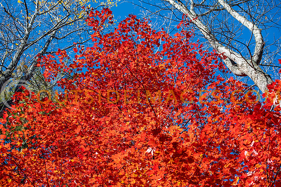 251104_TODD_IMAGES_311