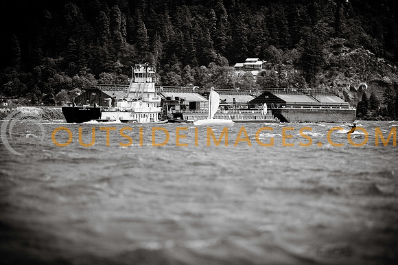 130810_TODD_0750