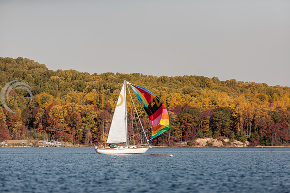 _MG_9431