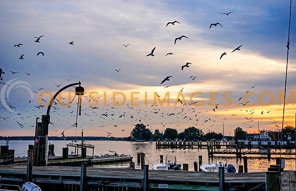 __20131019-GRIESER_667