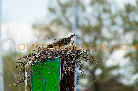 __140502_TODD_0744