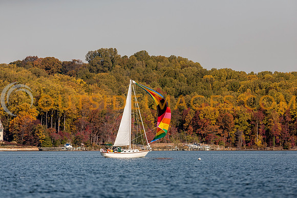 _MG_9428