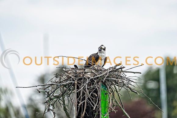 ____140502_TODD_0754