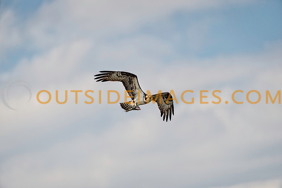 ____140503_TODD_0371