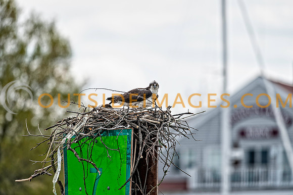 ____140502_TODD_0740