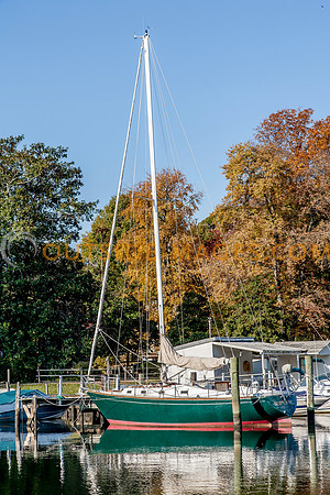 _MG_9404