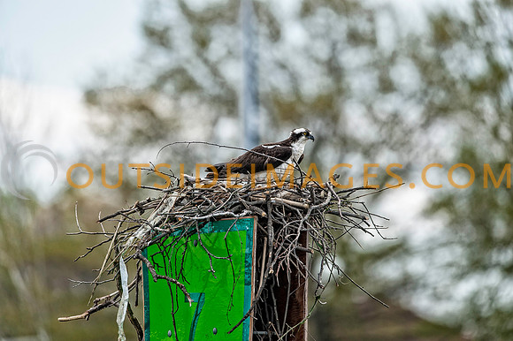 ____140502_TODD_0743