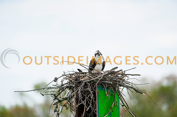 __140502_TODD_0759