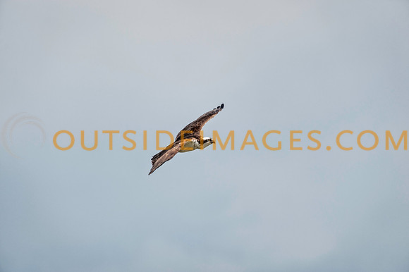____140503_TODD_0367