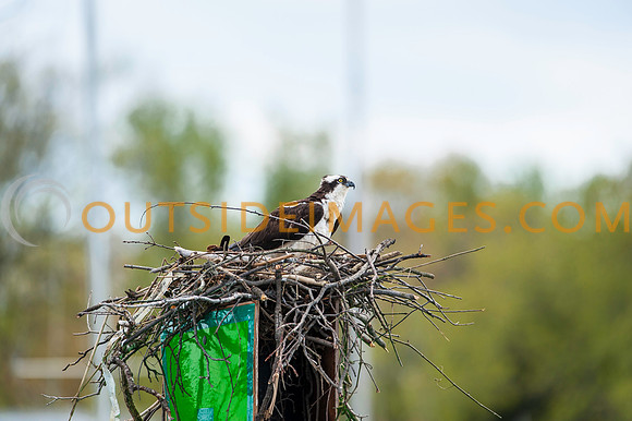 __140502_TODD_0746