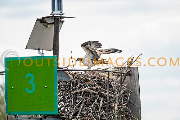 ____140502_TODD_0724