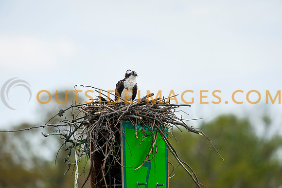 __140502_TODD_0763