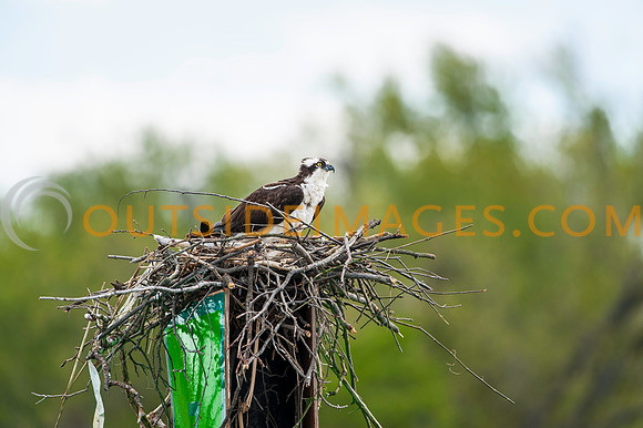 __140502_TODD_0749