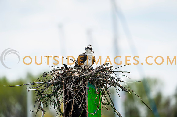 __140502_TODD_0756
