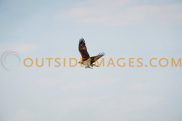 __140503_TODD_0369