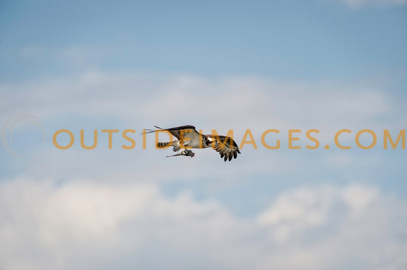 ____140503_TODD_0372