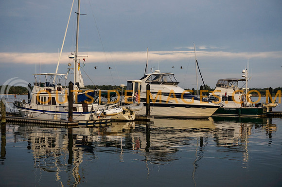__20131019-GRIESER_690