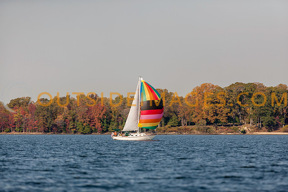 _MG_9423