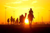 © WWW.OUTSIDEIMAGES.COM
