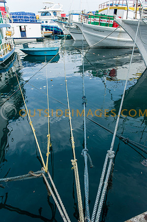 111223_TODD_0131