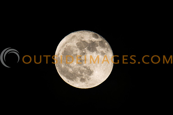 121129_TODD_0156