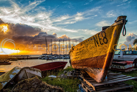 121117_GRIESER_1464
