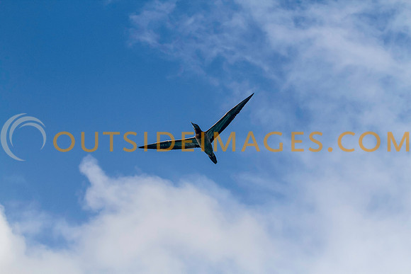121119_GRIESER_1100