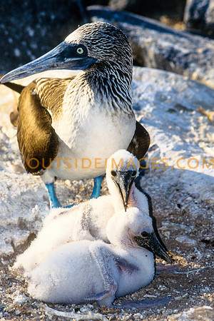 121216_GRIESER_66