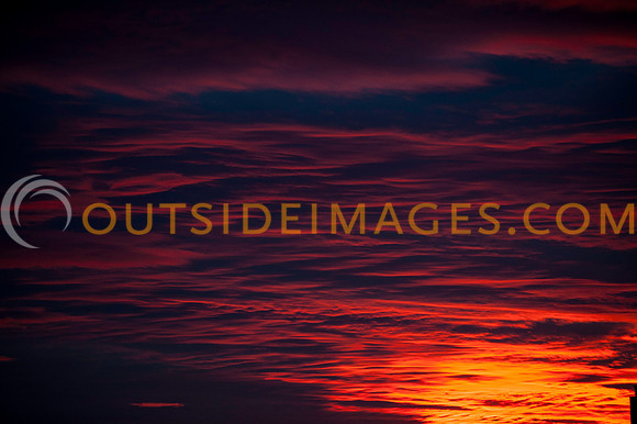 121217_TODD_0210