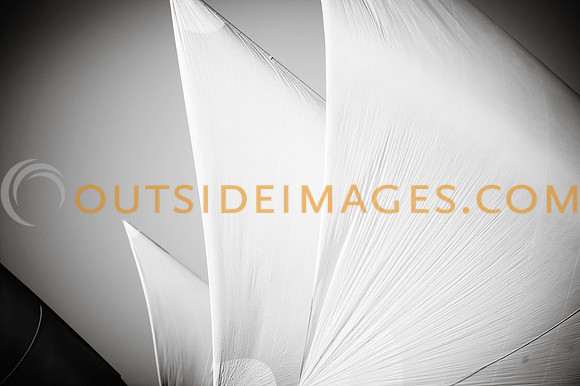 101120_TODD_1422