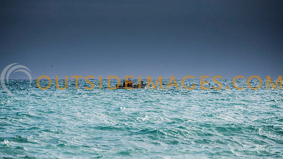 121108_TODD_0011-2